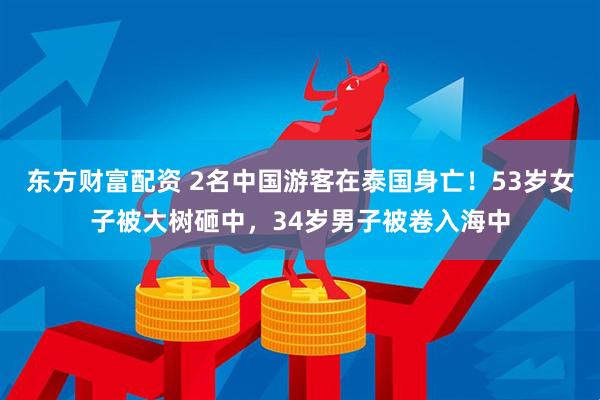 东方财富配资 2名中国游客在泰国身亡！53岁女子被大树砸中，34岁男子被卷入海中